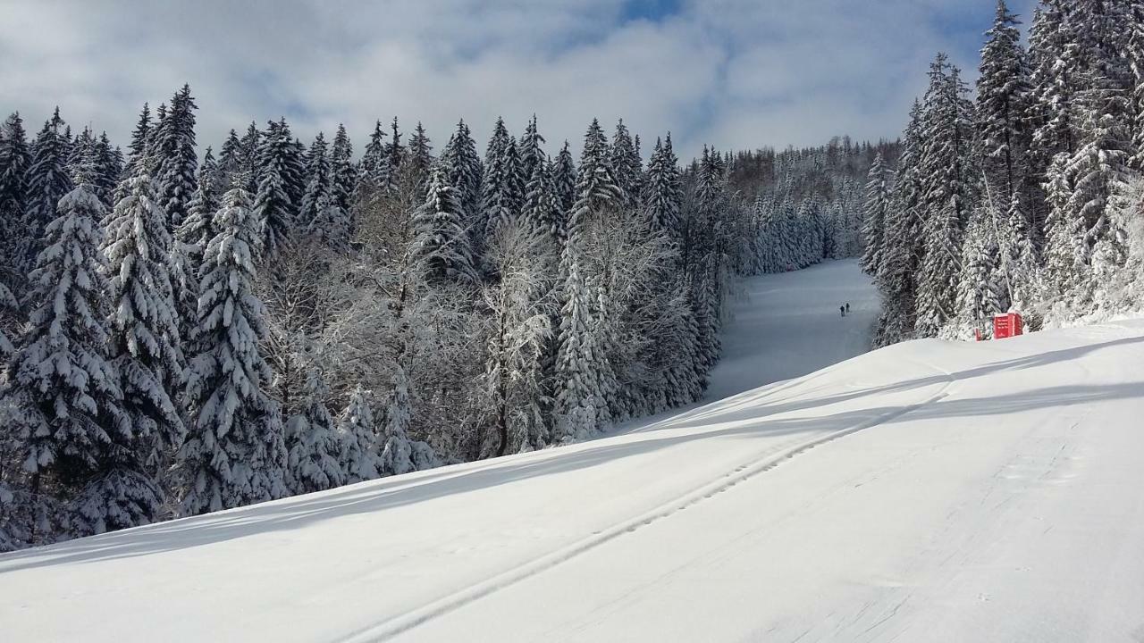 Apartmán Medvědín 109 Spindleruv Mlyn Exterior foto
